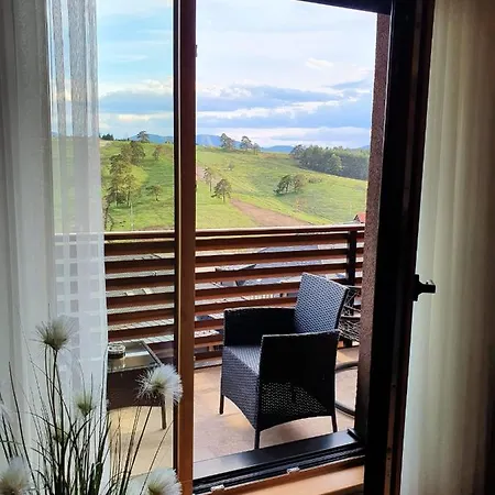 Thalia Kalman Apartment